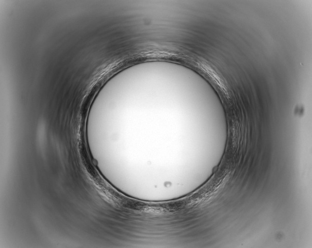 X0000099550490200805160730