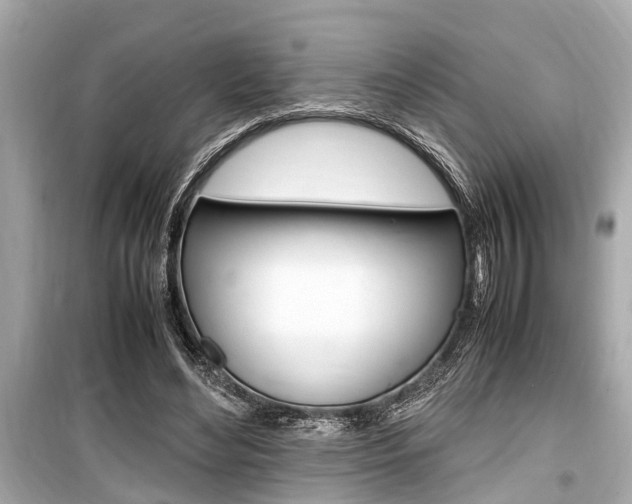 X0000099550492200805160730