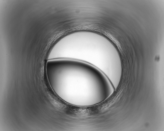 X0000099550493200805160730