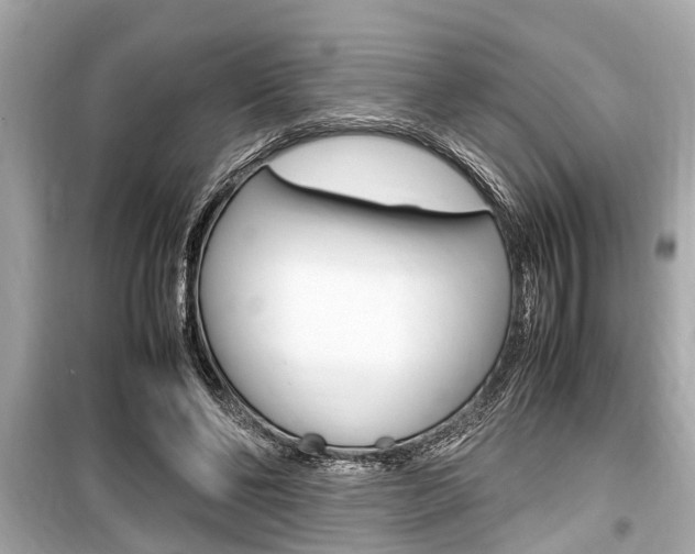 X0000099550494200805160730