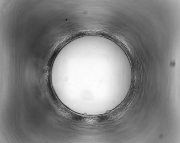 X0000099550495200805160730