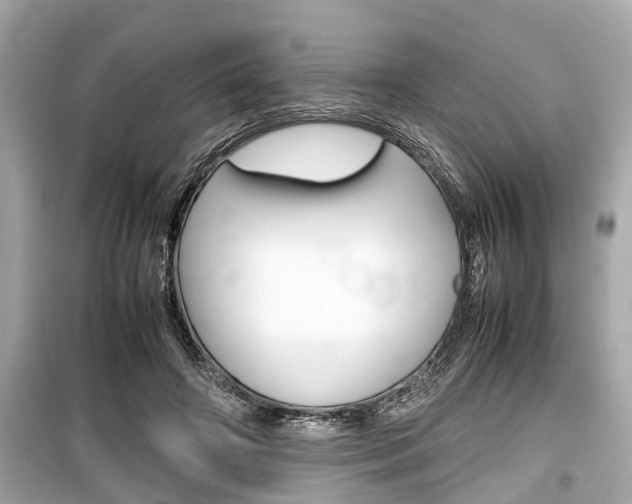 X0000099550498200805160730