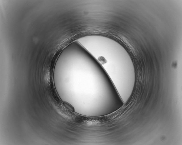 X0000099550500200805160729