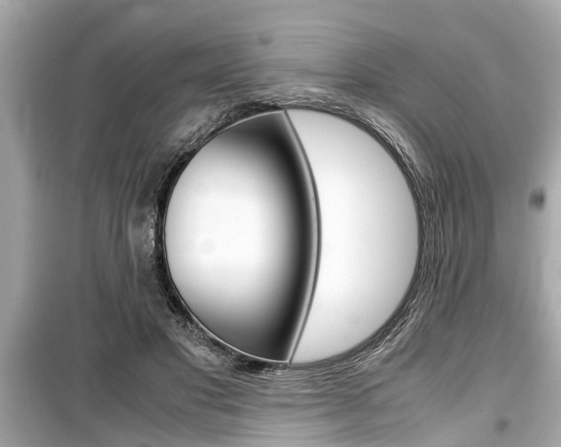X0000099550501200805160729