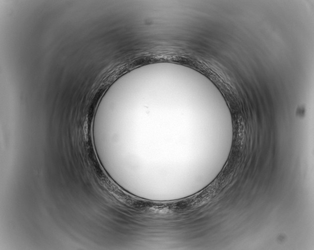 X0000099550502200805160729