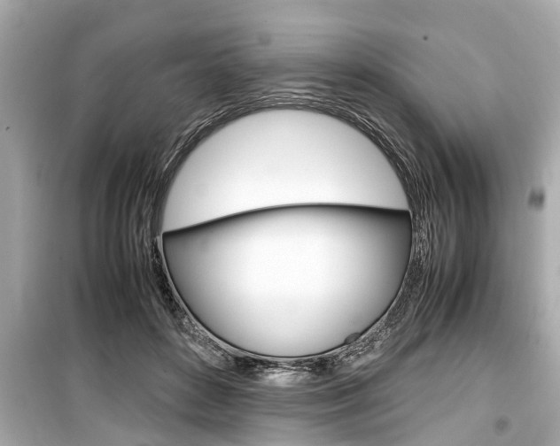 X0000099550504200805160729