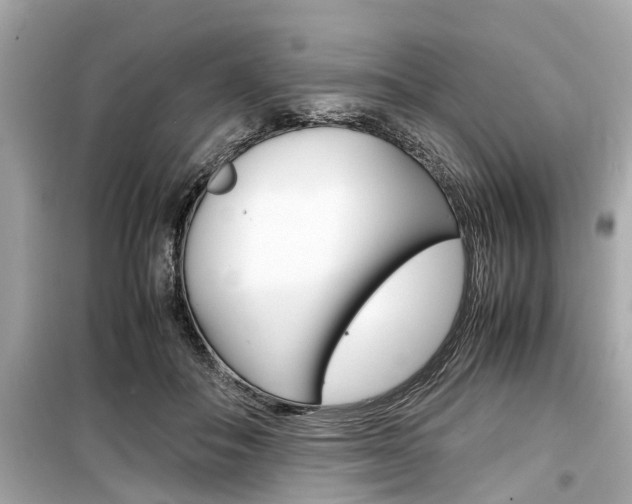 X0000099550506200805160729