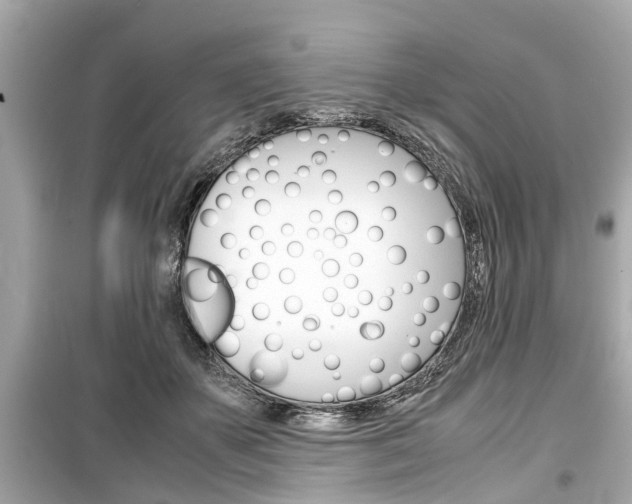 X0000099550507200805160729