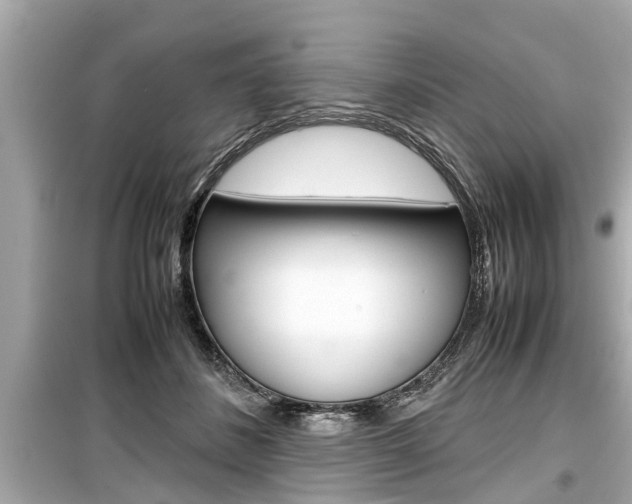 X0000099550508200805160729