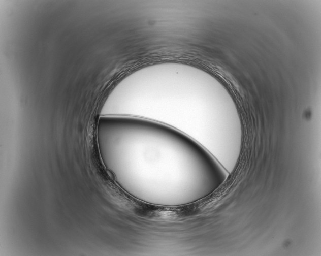 X0000099550509200805160729