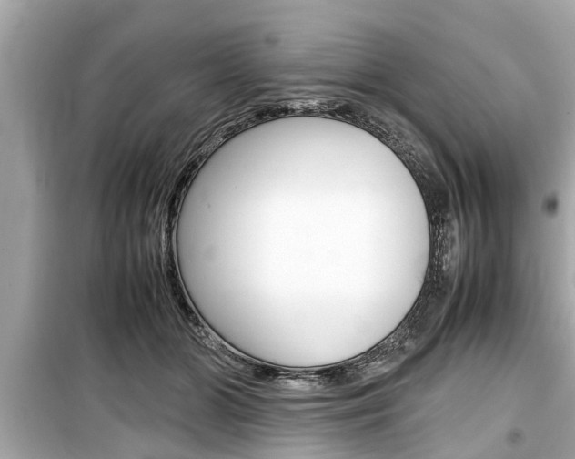 X0000099550510200805160729