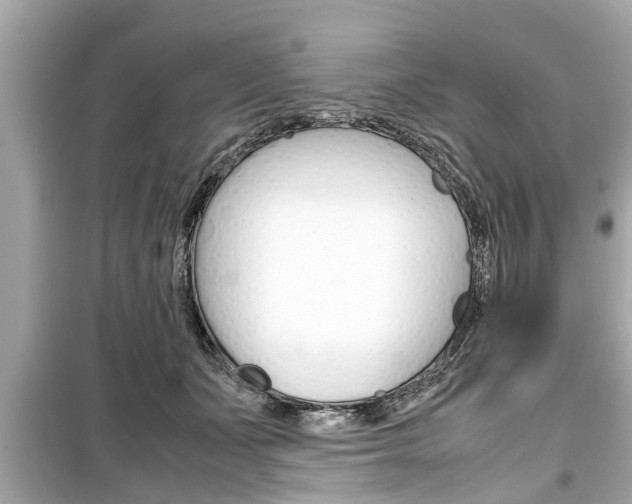 X0000099550511200805160729
