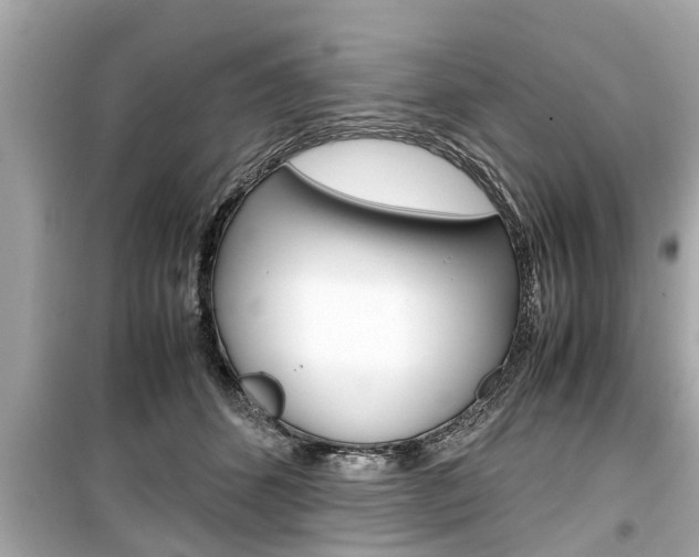 X0000099550512200805160729