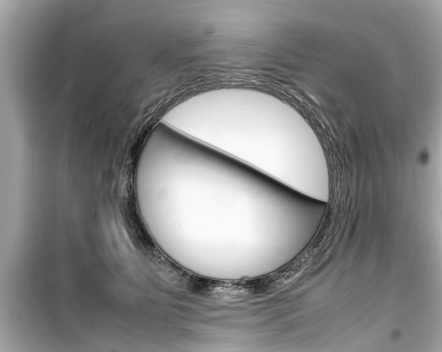 X0000099550515200805160729