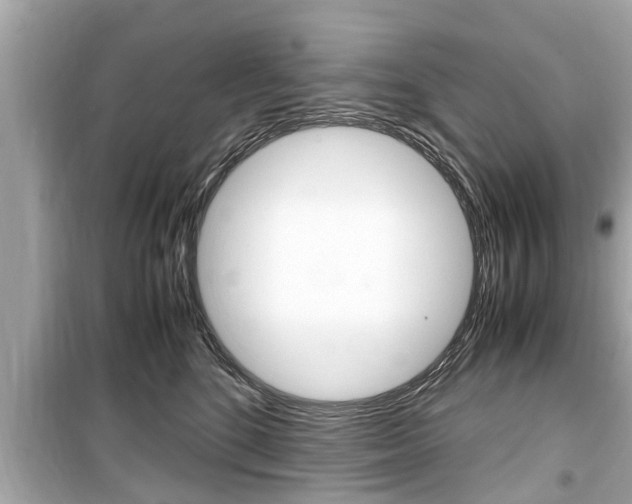 X0000099550520200805160729