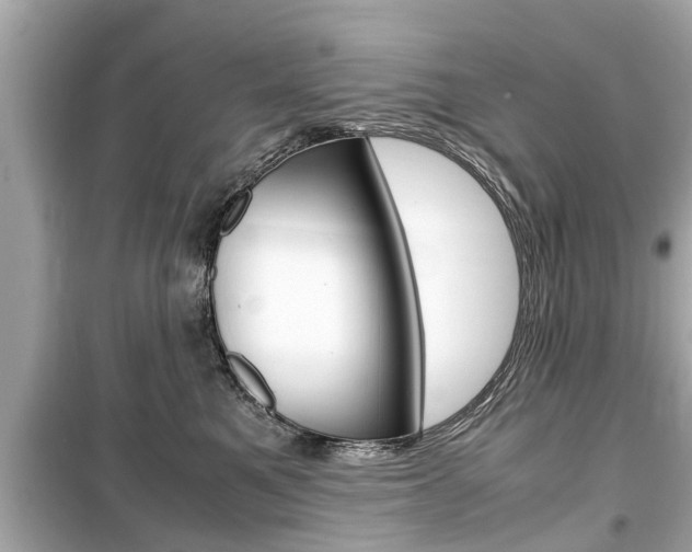 X0000099550521200805160729