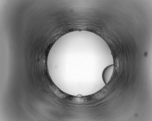 X0000099550522200805160729