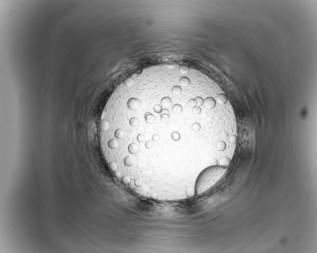 X0000099550523200805160729
