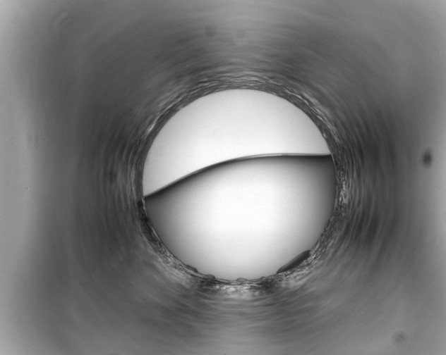 X0000099550524200805160729