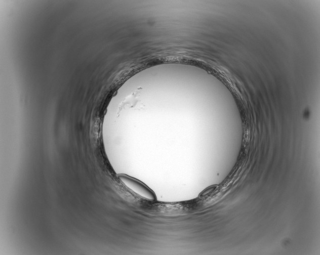 X0000099550525200805160729