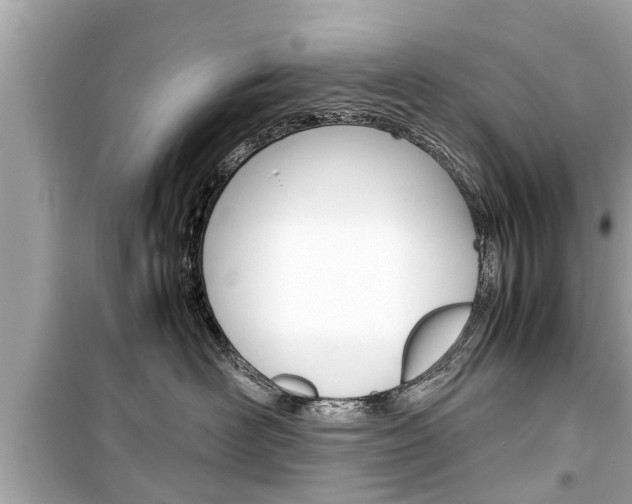 X0000099550526200805160729