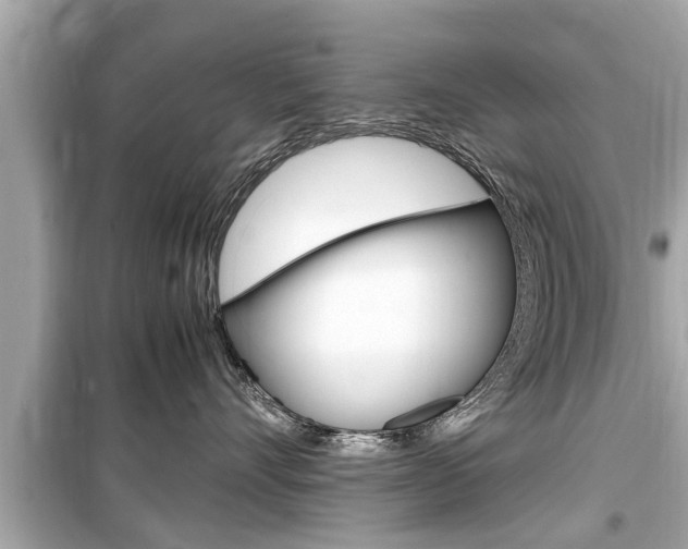X0000099550528200805160729