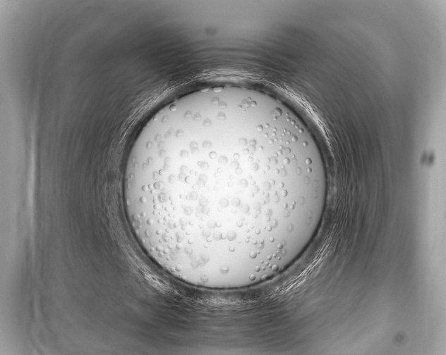 X0000099550529200805160728