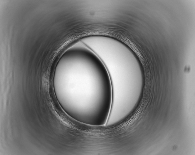 X0000099550530200805160728