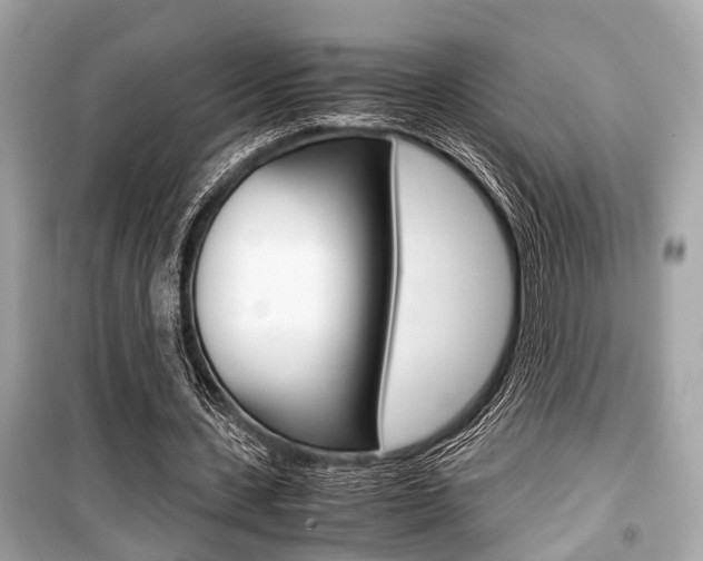 X0000099550531200805160728