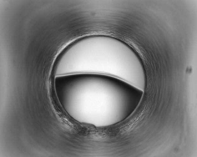 X0000099550532200805160728
