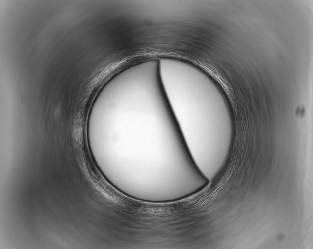 X0000099550533200805160728