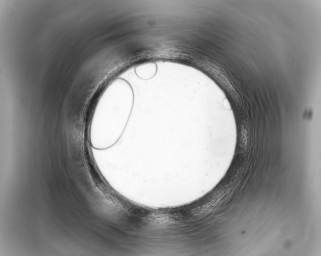X0000099550534200805160728