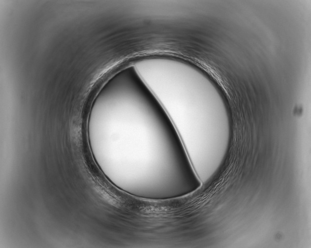 X0000099550535200805160728