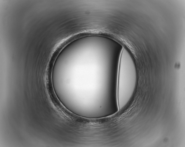 X0000099550536200805160728