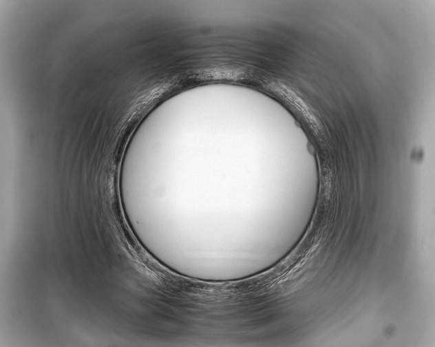 X0000099550537200805160728