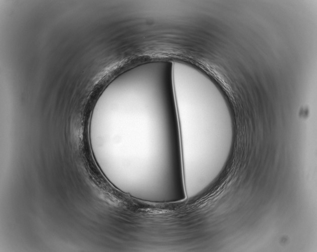 X0000099550539200805160728