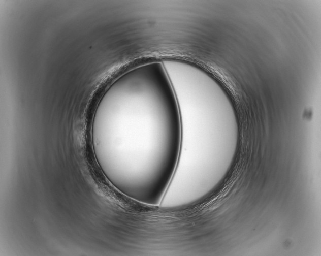 X0000099550540200805160728