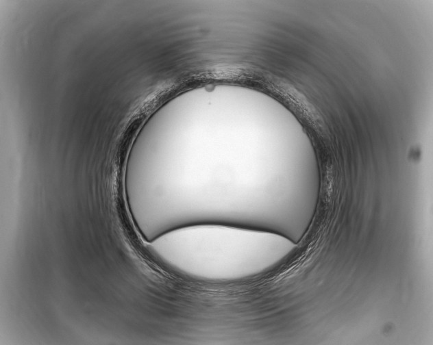 X0000099550542200805160728
