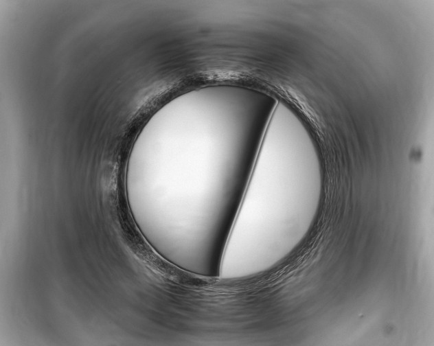 X0000099550543200805160728