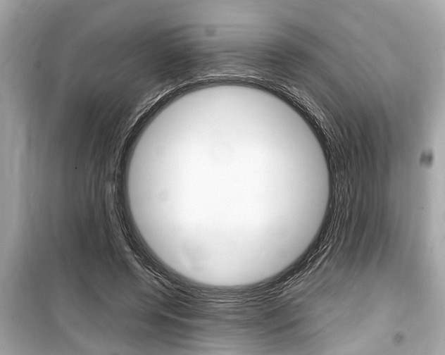 X0000099550544200805160728