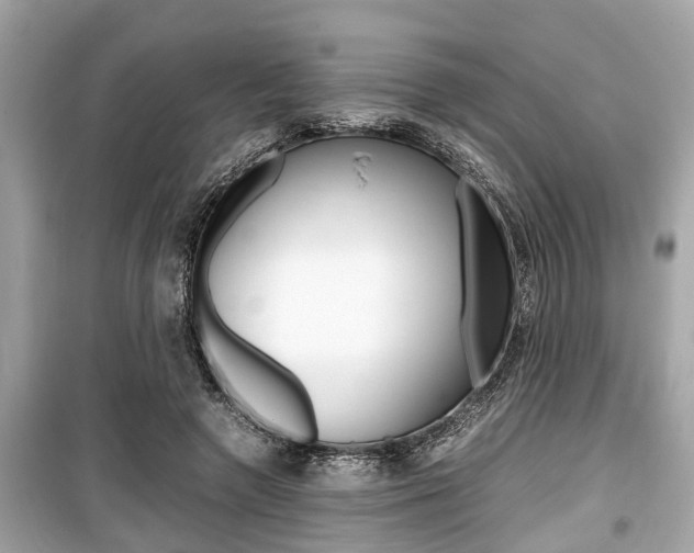 X0000099550546200805160729