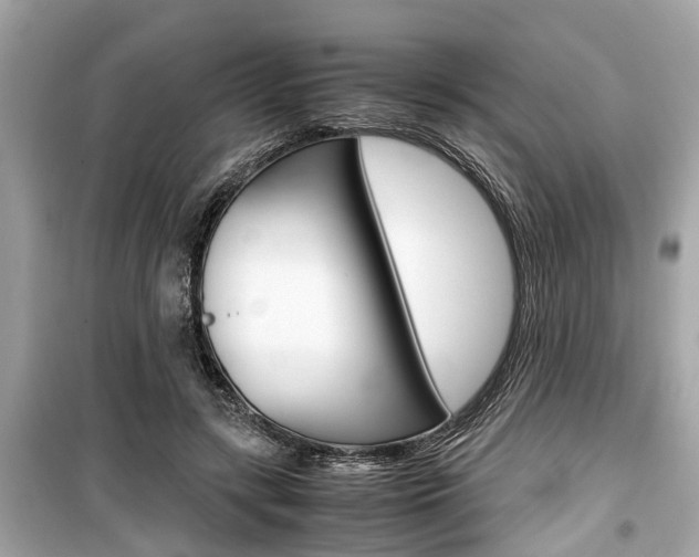 X0000099550547200805160729