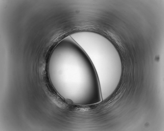 X0000099550548200805160729