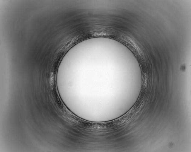 X0000099550549200805160729