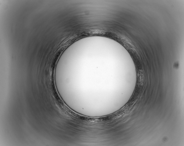 X0000099550550200805160729