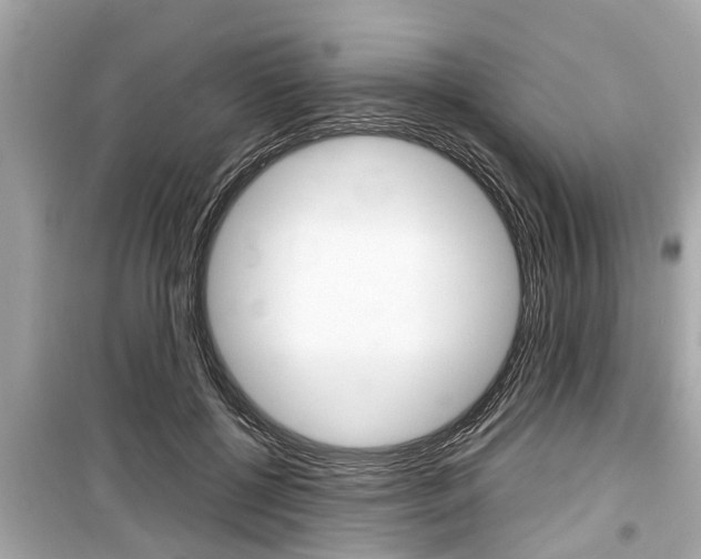 X0000099550552200805160729