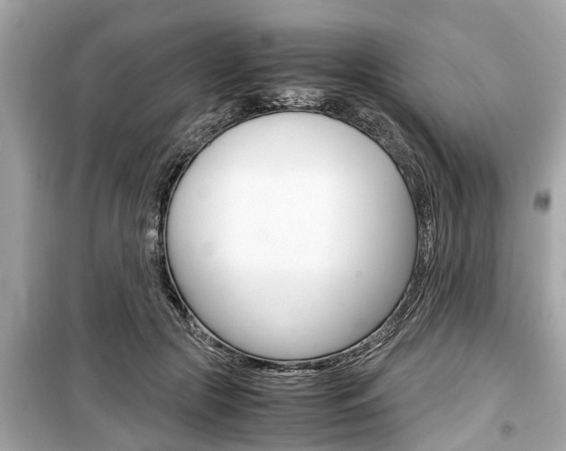 X0000099550553200805160729