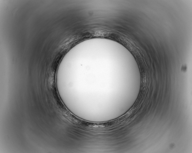 X0000099550554200805160729