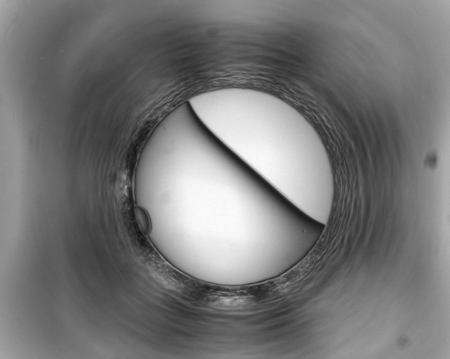 X0000099550555200805160729