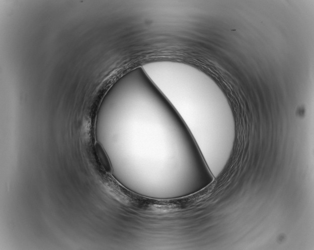 X0000099550556200805160729